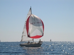la solitaire 053